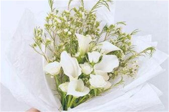 生日送什么花