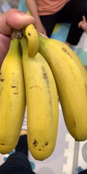 葡萄摘下来还会熟吗