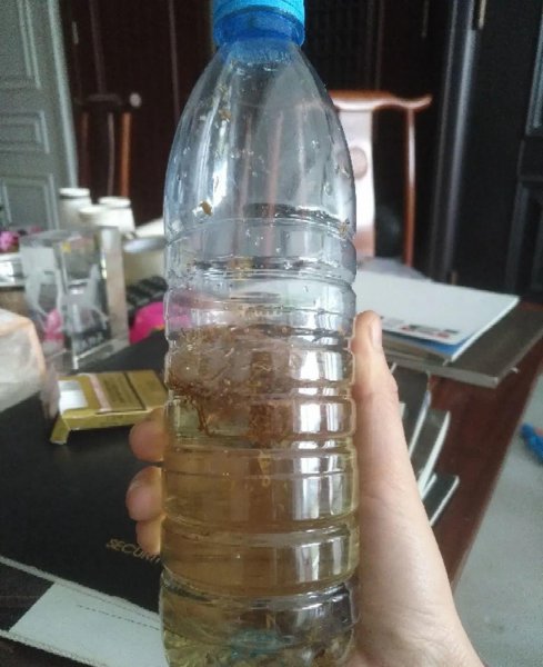 秋天养花怎么预防虫害