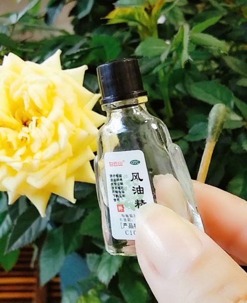 秋天养花怎么预防虫害