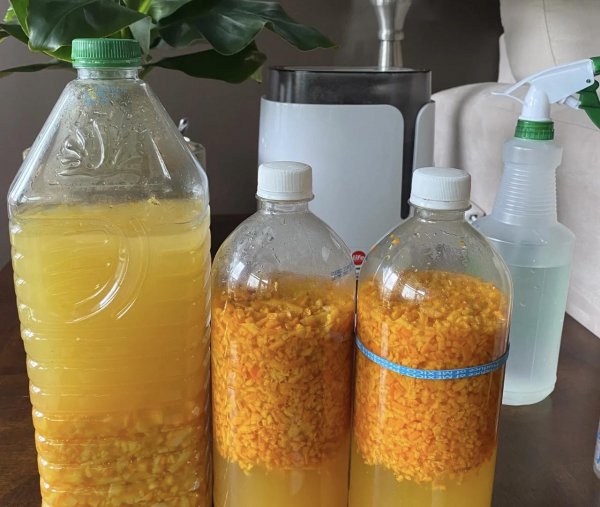 橘子皮养花有什么作用
