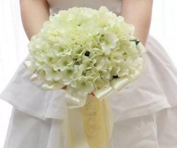 绣球花花期怎么养护 详解绣球花花期养护指南