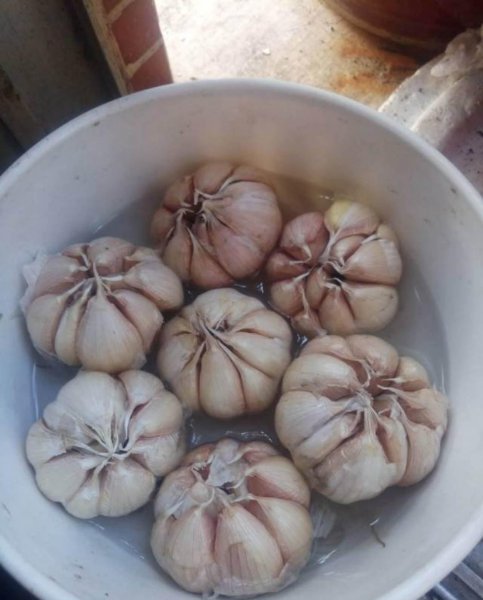 大蒜有哪些作用