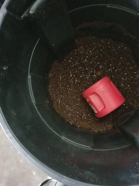 养花的旧土怎么处理
