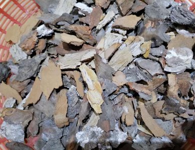 松树皮发酵要多久时间 有关松树皮发酵时间及方法
