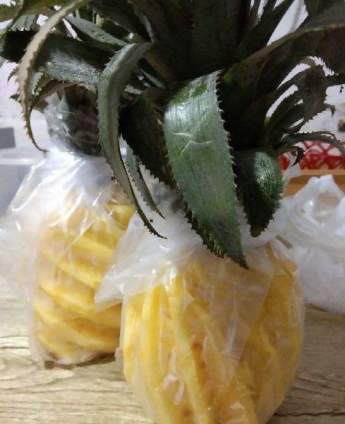 有哪些水果核适合盆栽的