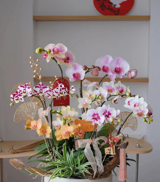 买花一时爽，养花火葬场指的是这3种花，劝你也别养