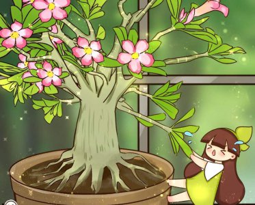 8月有哪些花开花 详解8月开花漂亮的9种花