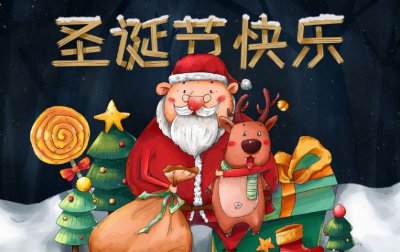 圣诞节送花合适吗 圣诞节要送什么花