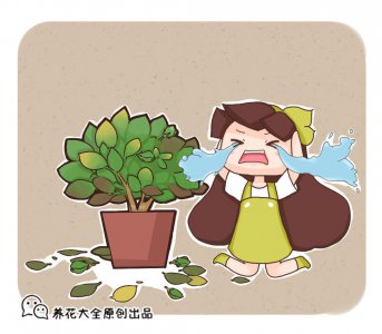 家里养花有哪些忌讳 盘点5个养花人爱犯的养花忌讳