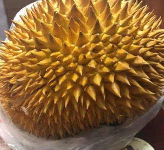 购买水果时怎么挑选 详解各类常见水果挑选方法