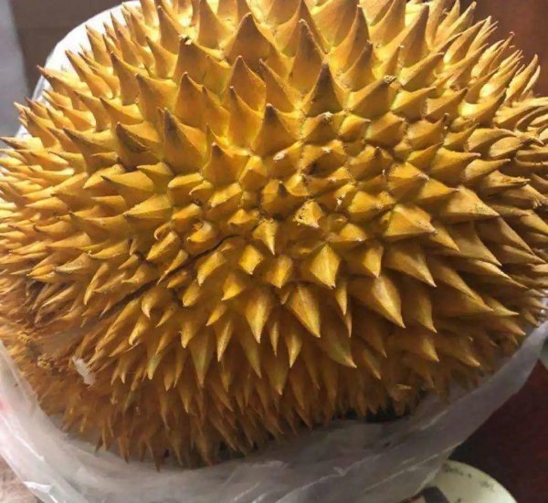 购买水果时怎么挑选