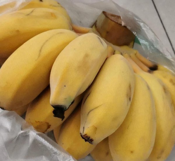 购买水果时怎么挑选