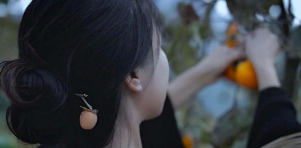 宫灯百合的花语是什么