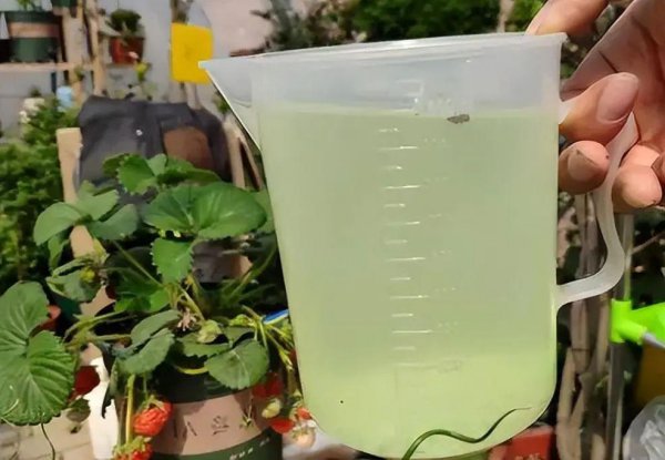 硫酸亚铁有什么作用