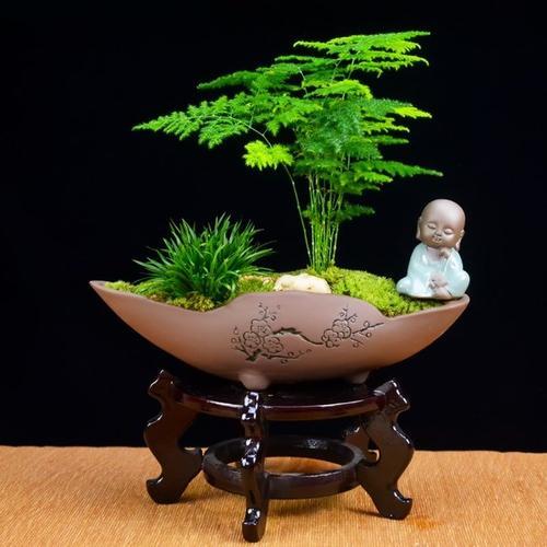 教师节送什么花好