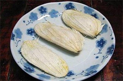 芒果盆栽怎么种植 盆栽芒果树的种植与养护