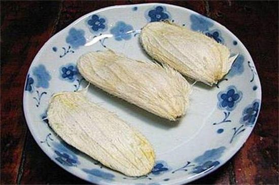 芒果盆栽怎么种植