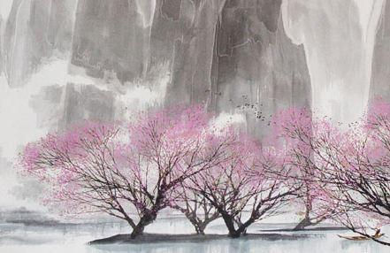 杏花的花语是什么