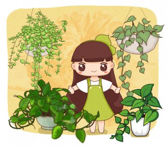 盆栽植物怎么养才茂盛 养花的五个小窍门