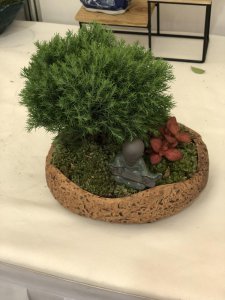 适合在潮湿环境下生长得植物有哪些 盘点6种适合潮湿环境下生存的花卉植物