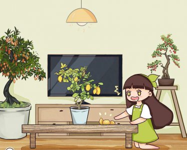 盆栽柠檬不结果怎么办 了解盆栽柠檬正确养护方法