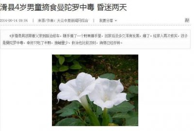 哪些花卉植物有毒 盘点10种剧毒的花卉植物