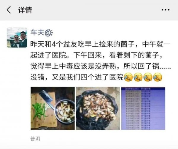 哪些花卉植物有毒