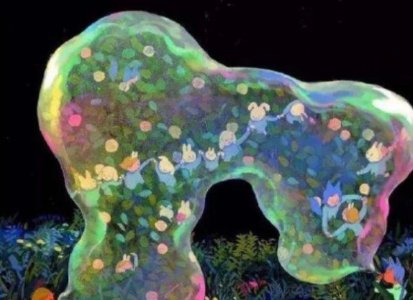 哪些花卉植物有毒