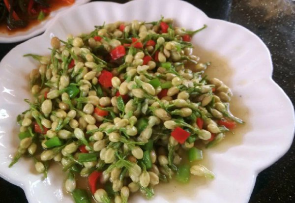 可以食用的花卉有哪些