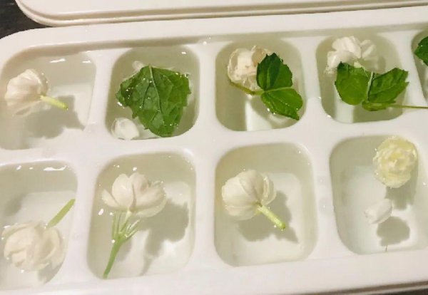 可以食用的花卉有哪些