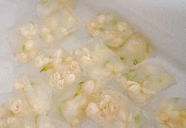 可以食用的花卉有哪些