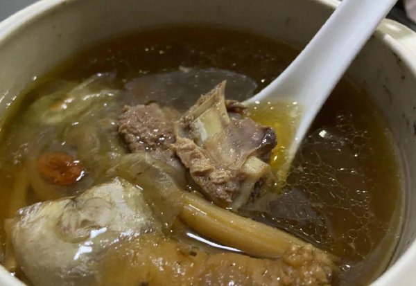 可以食用的花卉有哪些