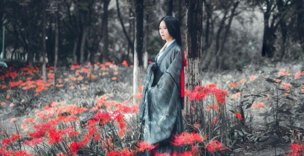 曼珠沙华花语是什么意思