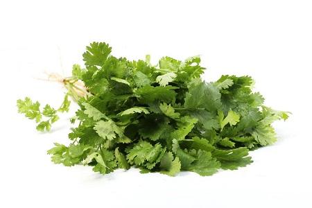 冬季适合种什么蔬菜