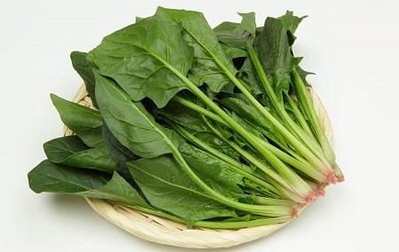 冬季适合种什么蔬菜