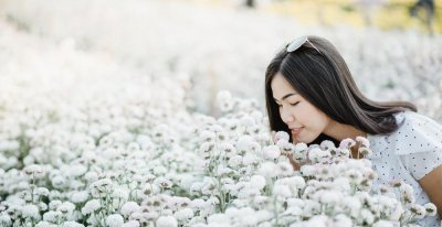 凌波仙子是什么花的美称 凌波仙子指的植物