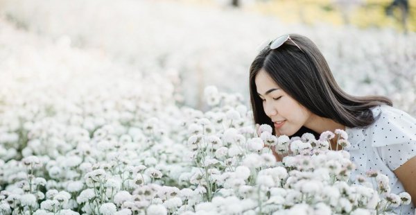 凌波仙子是什么花的美称