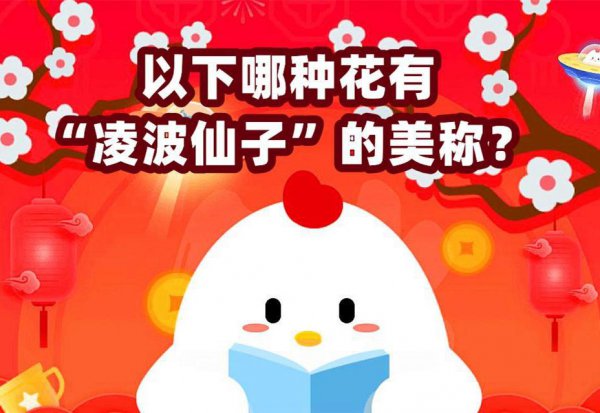 凌波仙子是什么花的美称