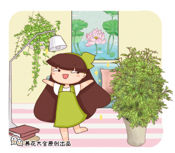 净化空气的花草有哪些 房间净化空气的植物推荐