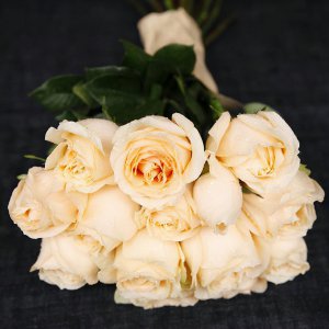香槟色玫瑰花语是什么意思 玫瑰香槟色代表的含义