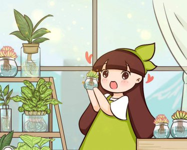 水生植物怎么养护 水生植物养护技术要点