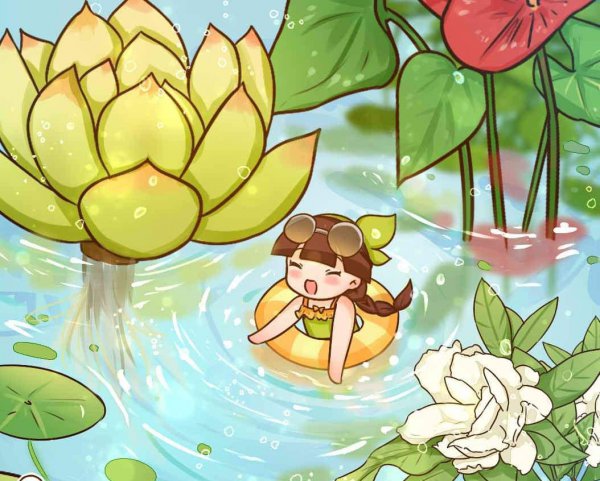水生植物怎么养护