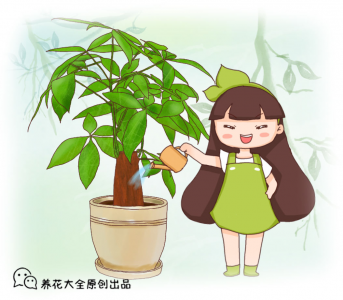 适合放办公桌上的绿植有哪些 办公桌绿植摆放讲究