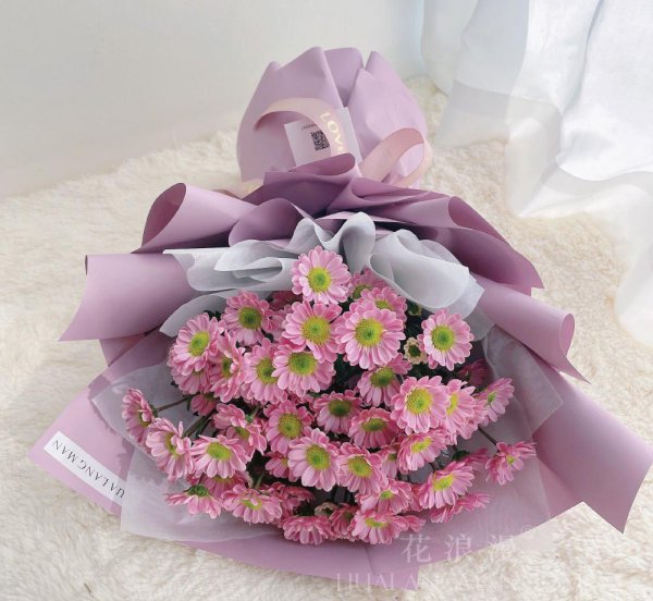 黄雏菊花语是什么意思