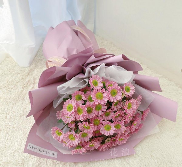 黄雏菊花语是什么意思