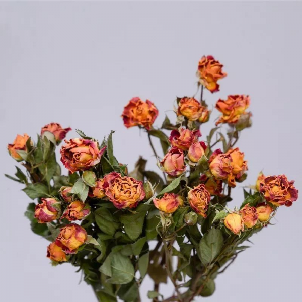 鲜花插花瓶里怎么保鲜