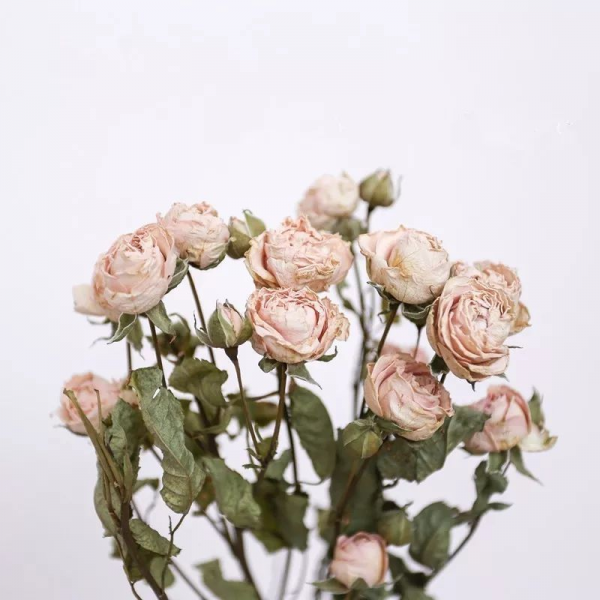 鲜花插花瓶里怎么保鲜