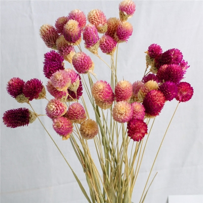 鲜花插花瓶里怎么保鲜