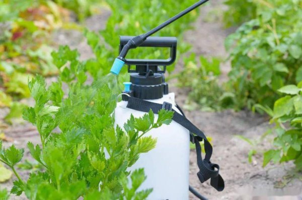 植物叶面肥怎么喷施